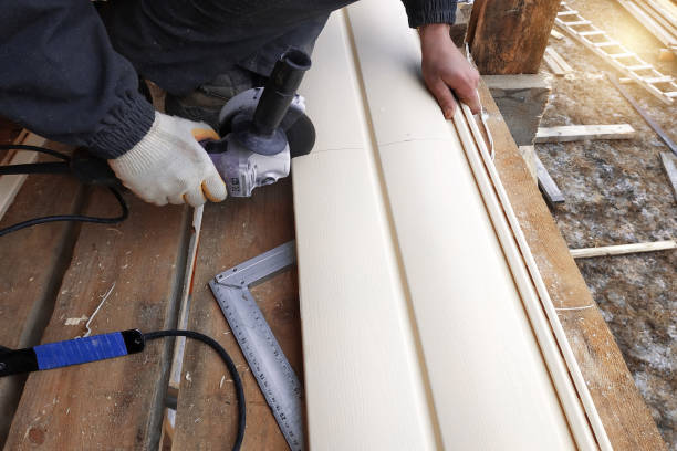Best Stone Veneer Siding  in Zilwaukee, MI