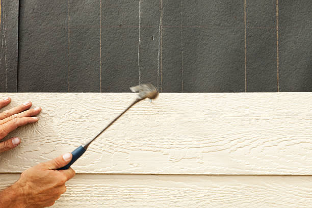Best Historical Building Siding Restoration  in Zilwaukee, MI